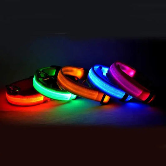 Nylon LED Pet Dog Luminous Collar Night Safety Flashing Glow in Dark Dog Cat Leash Adjustable Pet Supplies Cheap Hunt